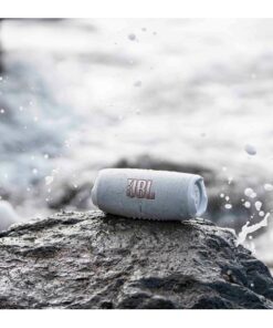 JBL Haut-parleur Bluetooth Charge 5 Gris 8