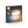 Philips Hue Lampe de salle de bains White Ambiance